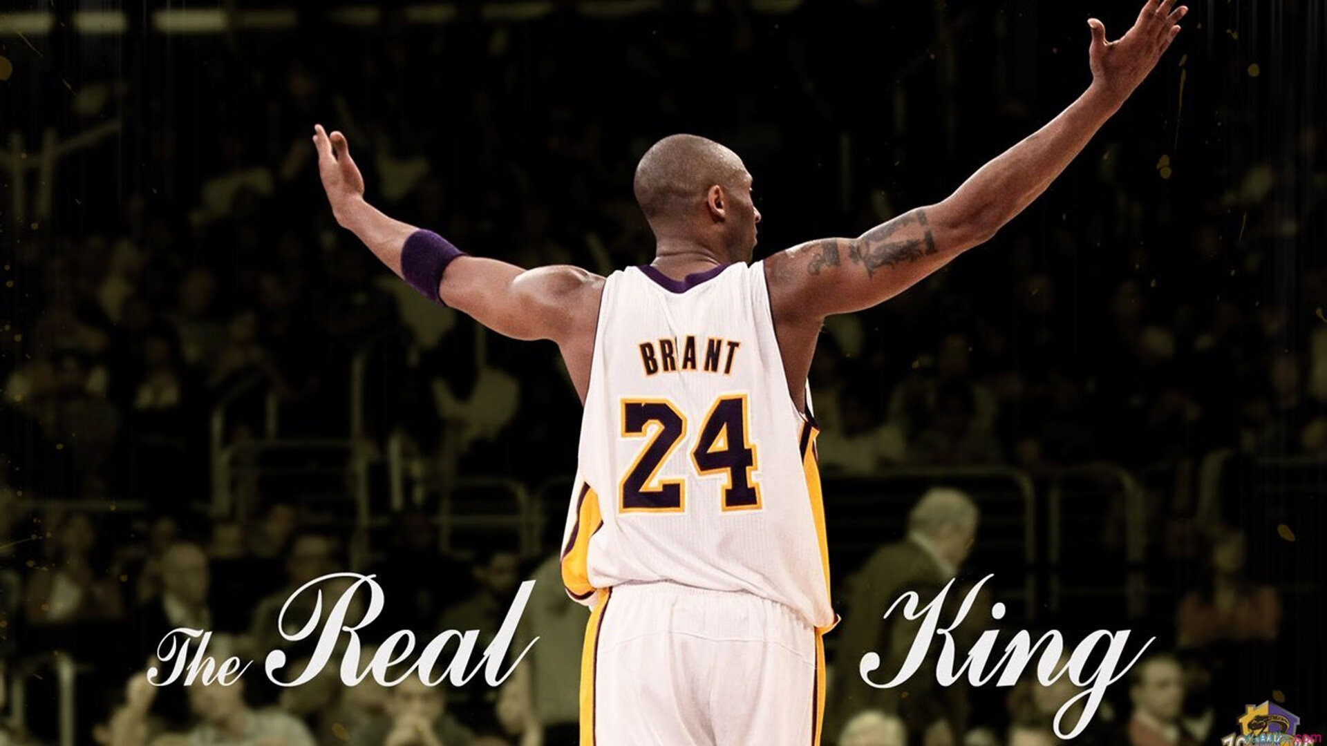 跨界狂想,当班凯罗在F1赛道接管比赛,鹈鹕如何逆转老鹰?