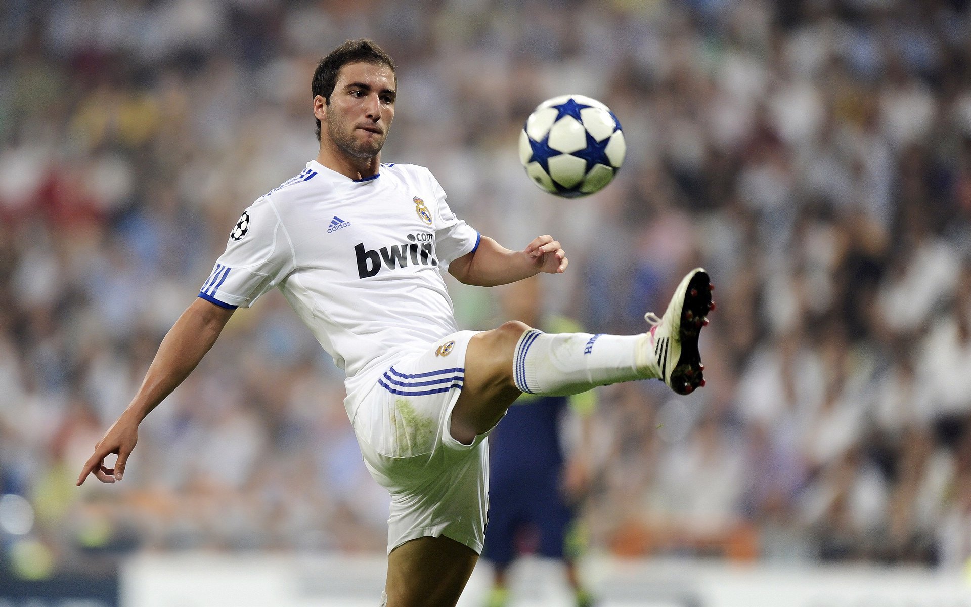 赛道上的绝对主宰，哈斯车队强势碾压阿斯顿马丁，维斯塔潘上演高光表现